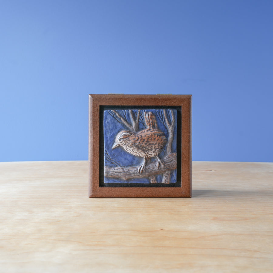 Sharkus | Bird Box Collection