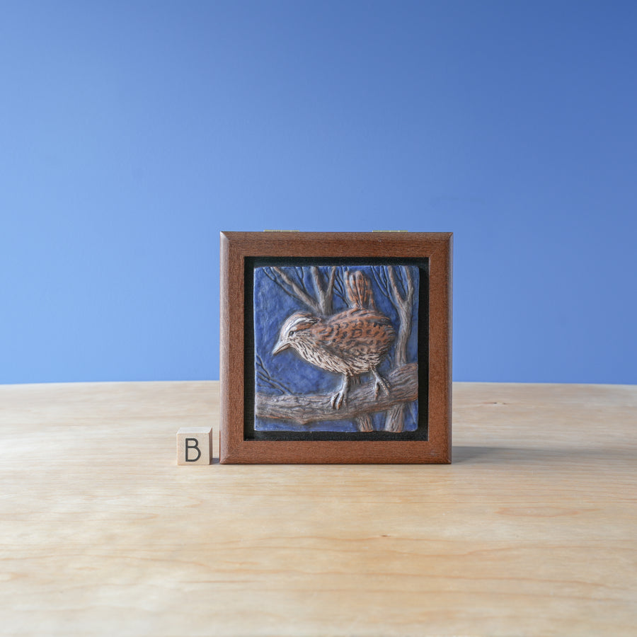 Sharkus | Bird Box Collection