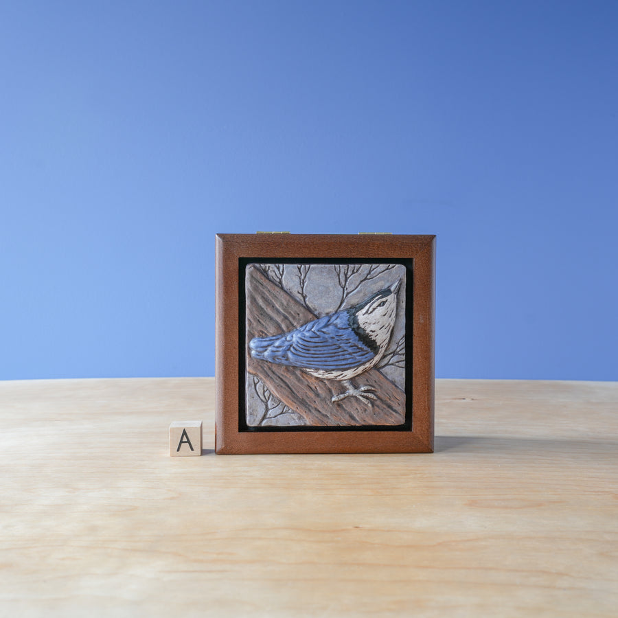 Sharkus | Bird Box Collection