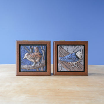 Sharkus | Bird Box Collection