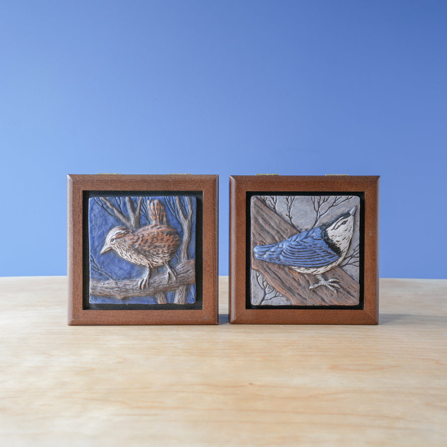 Sharkus | Bird Box Collection