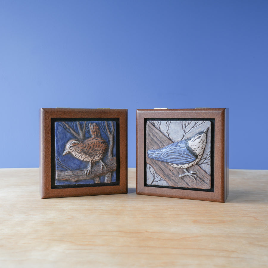 Sharkus | Bird Box Collection