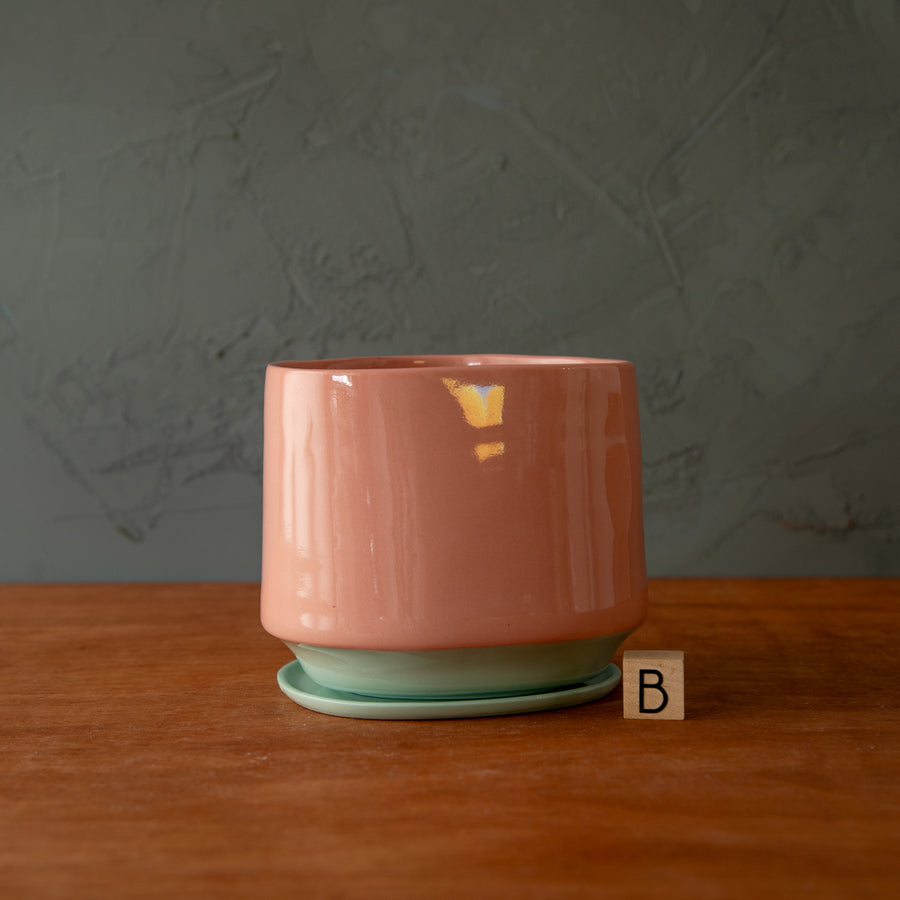 LoPresto | Mug and Planter Collection