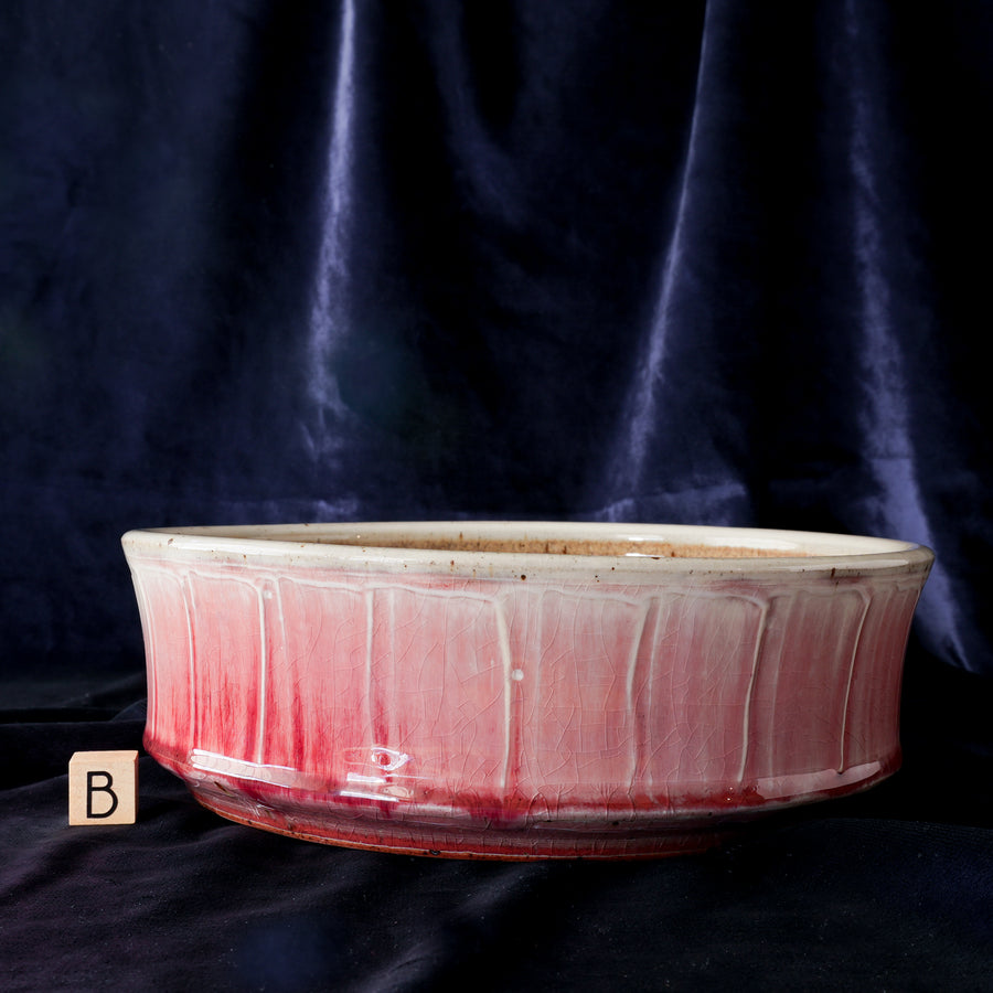 Mod Bowl | Snowberry