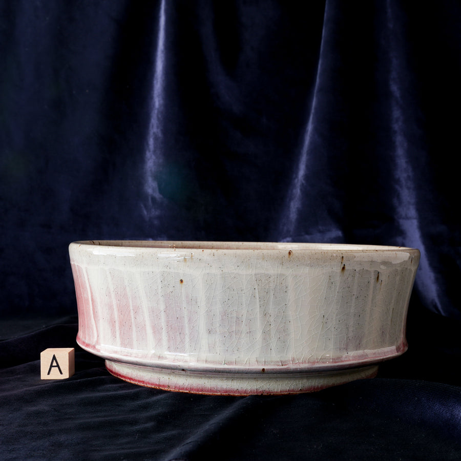 Mod Bowl | Snowberry