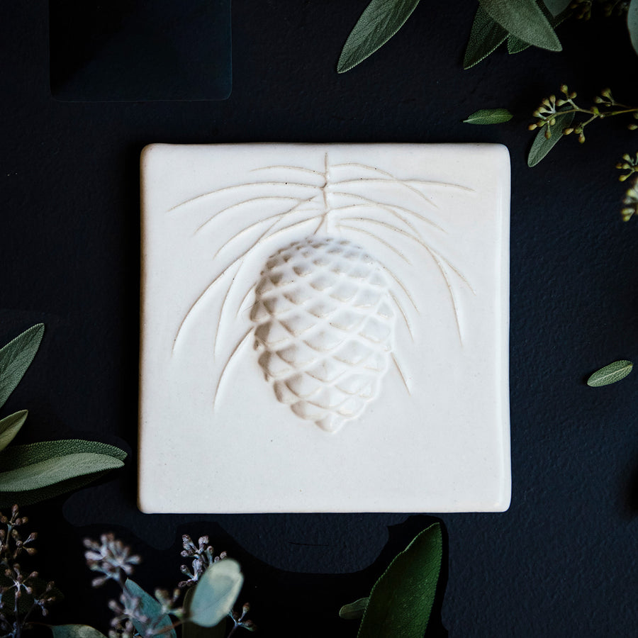 This Ceramic 6X6 Pine Cone Tile is shown in the Alabaster white glaze.