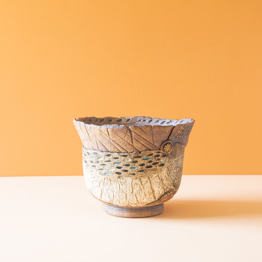 Salmeron Collection