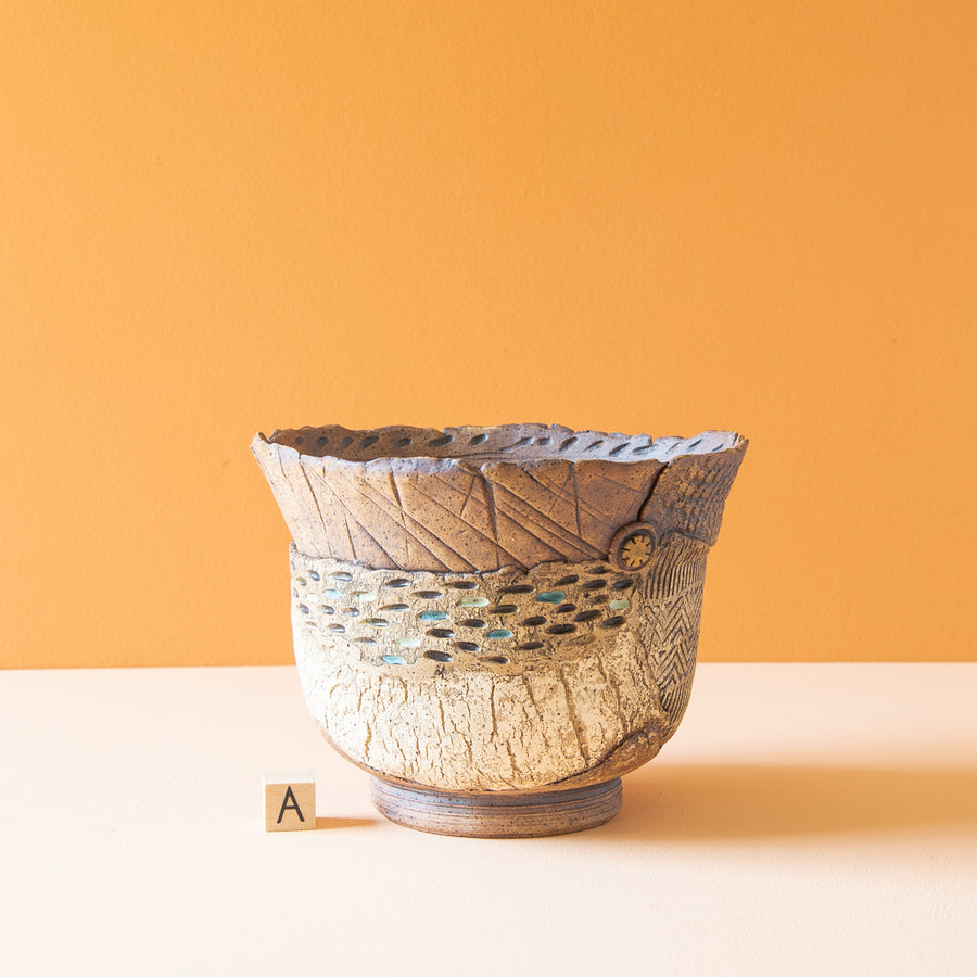 Salmeron Collection
