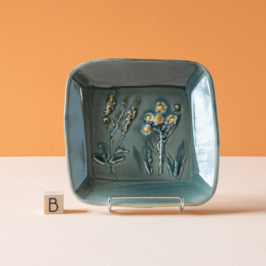 Robb | Dish Collection