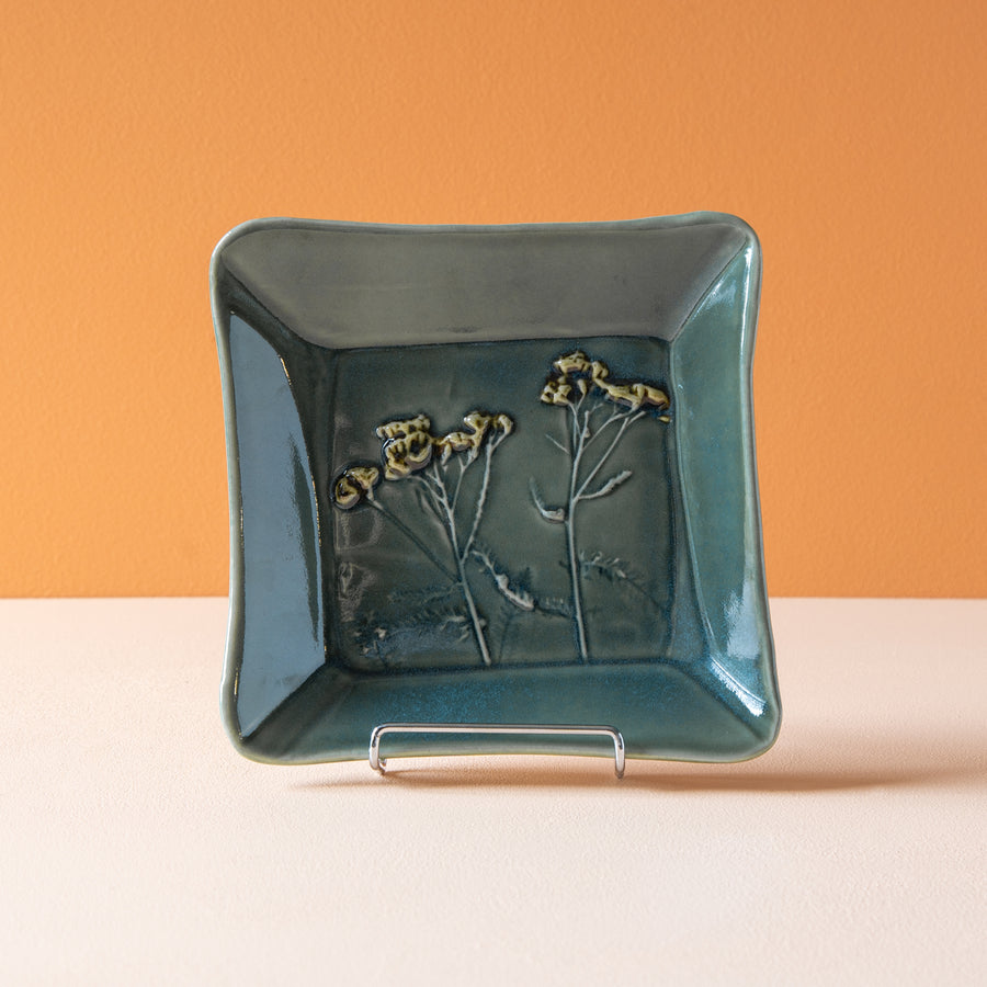 Robb | Dish Collection