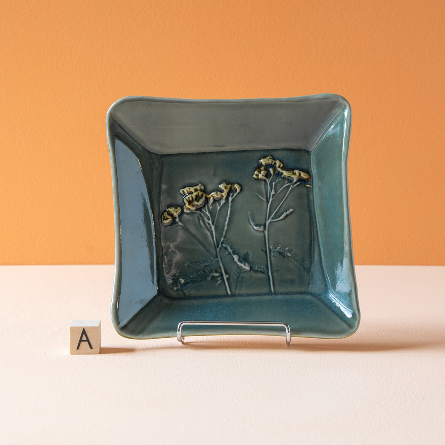 Robb | Dish Collection