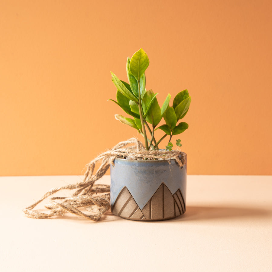 Less is More Studios | Planter Collection