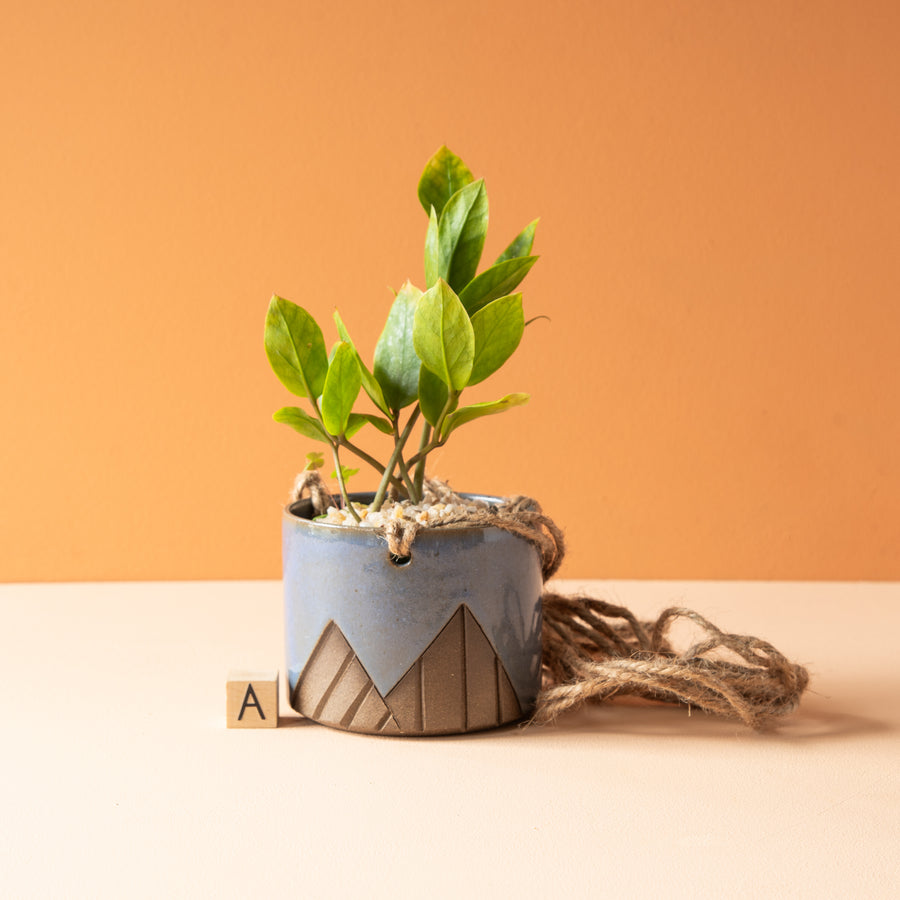 Less is More Studios | Planter Collection