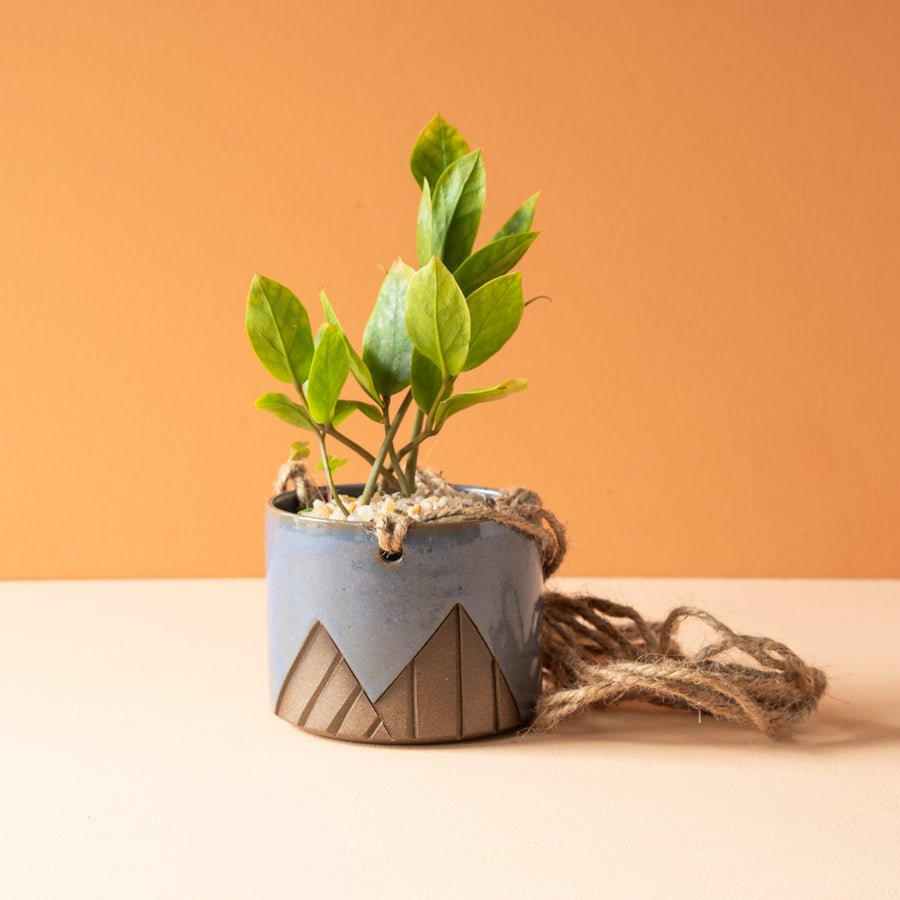 Less is More Studios | Planter Collection
