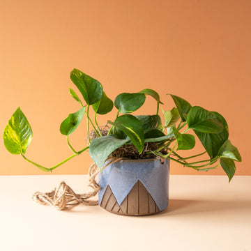 Less is More Studios | Planter Collection