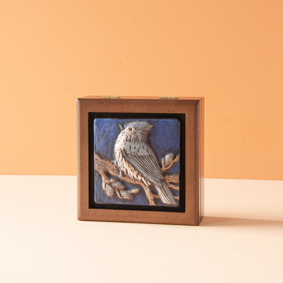 Sharkus | Bird Boxes Collection