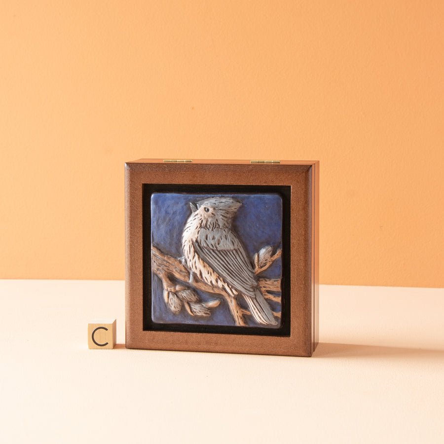 Sharkus | Bird Boxes Collection