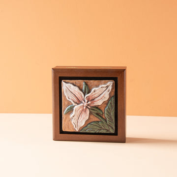 Sharkus | Bird Boxes Collection
