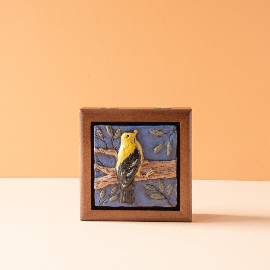 Sharkus | Bird Boxes Collection