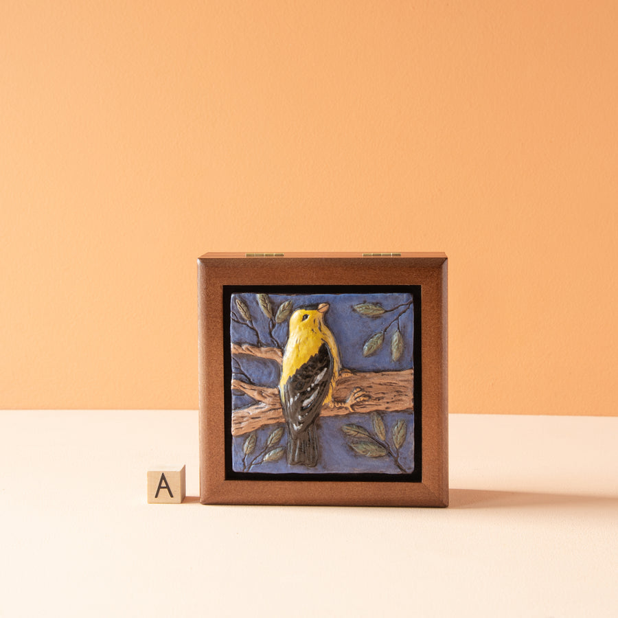 Sharkus | Bird Boxes Collection
