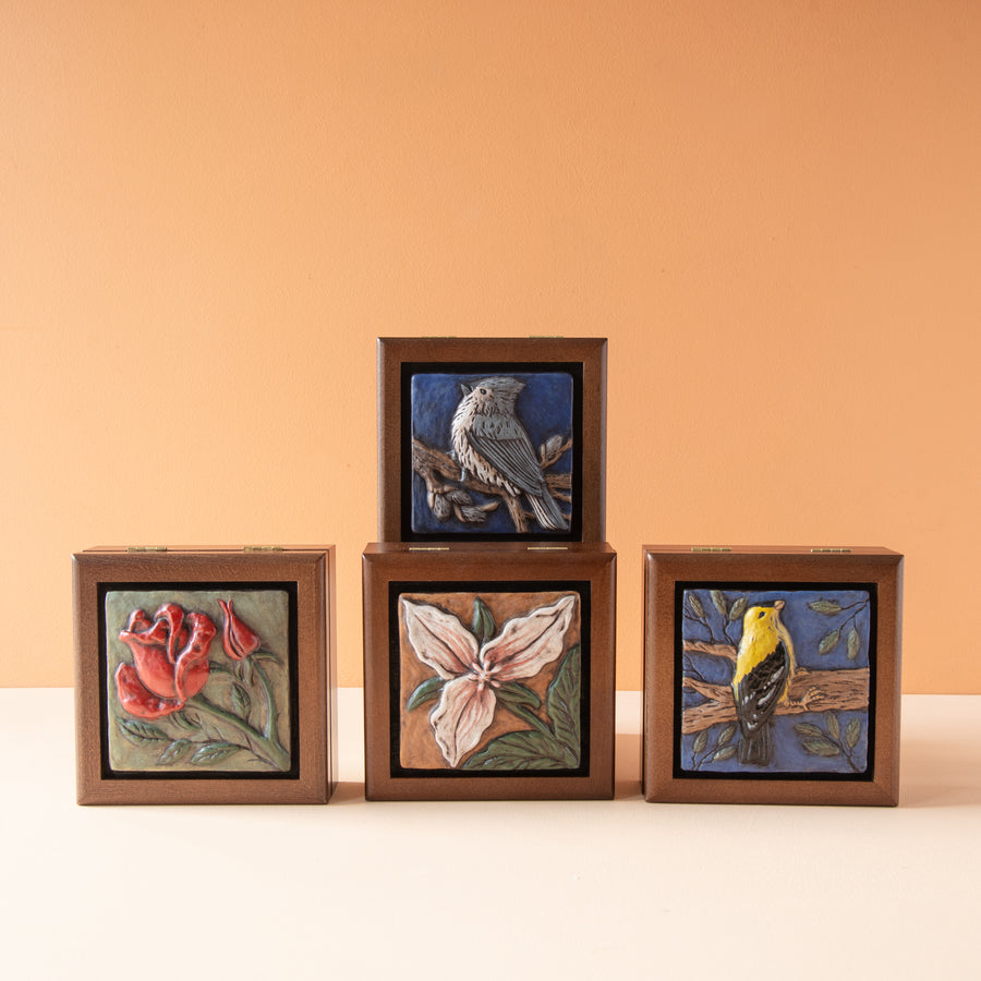 Sharkus | Bird Boxes Collection