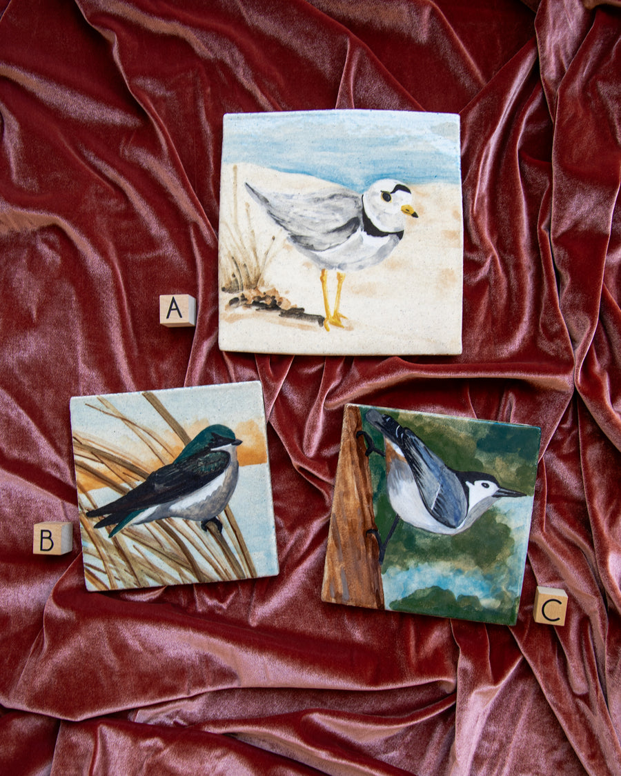 Think Good Tiles | Bird Collection