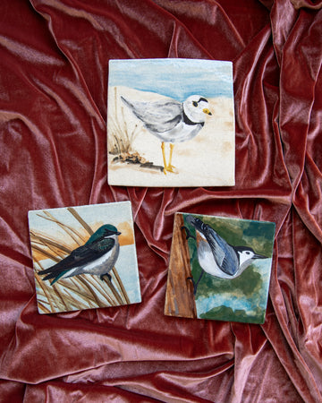 Think Good Tiles | Bird Collection
