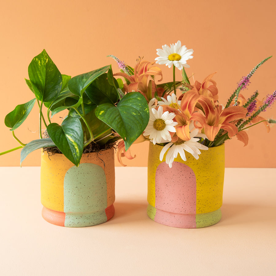 Stanley Chester & Albert | Planter Collection