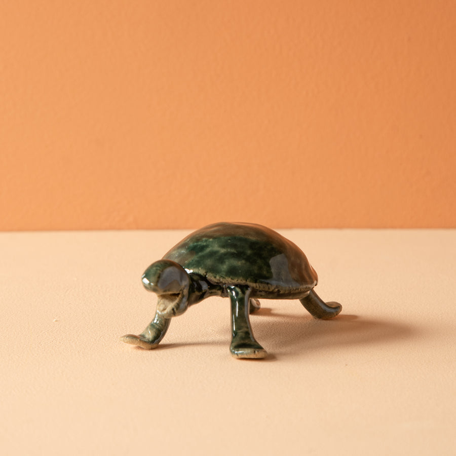 Bungart | Turtle Collection