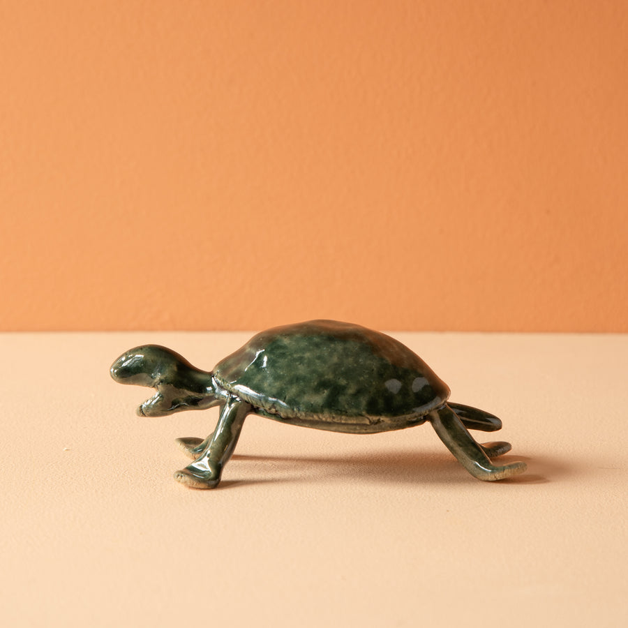 Bungart | Turtle Collection