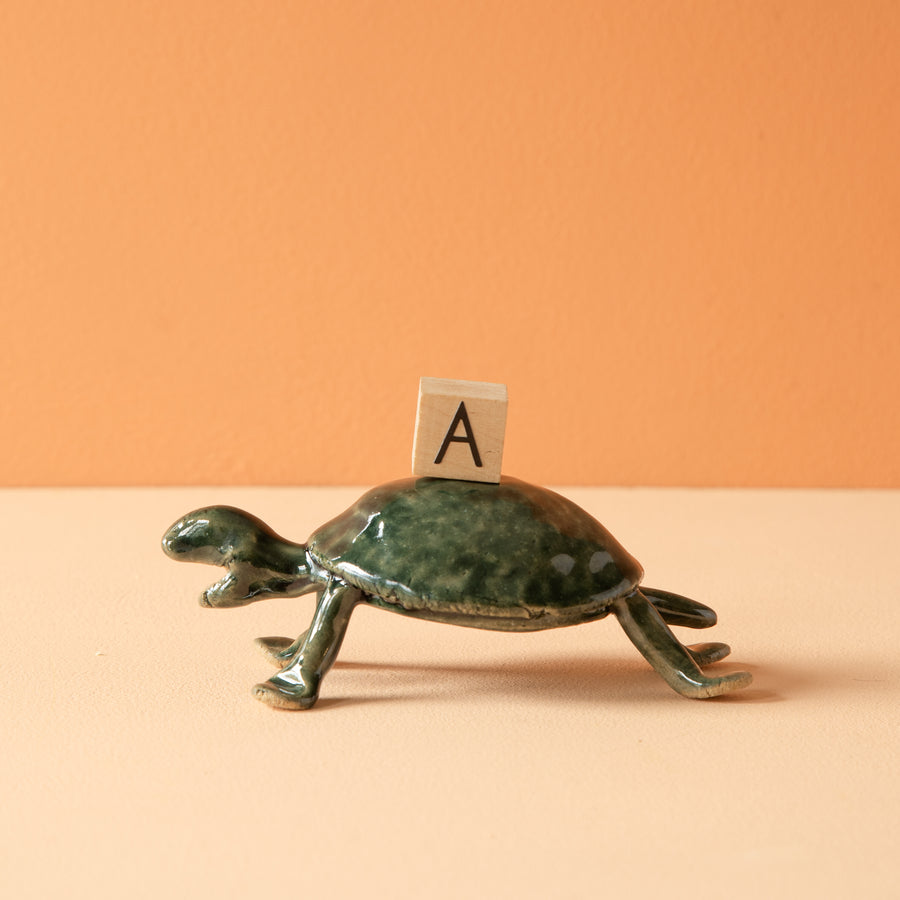 Bungart | Turtle Collection