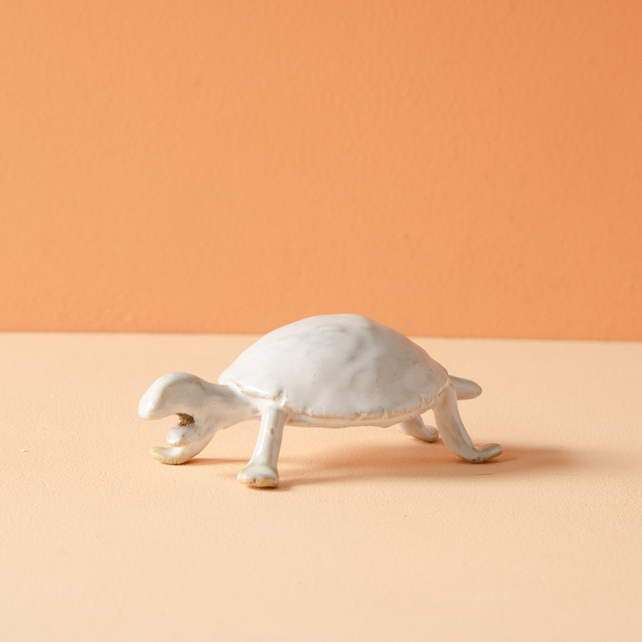 Bungart | Turtle Collection