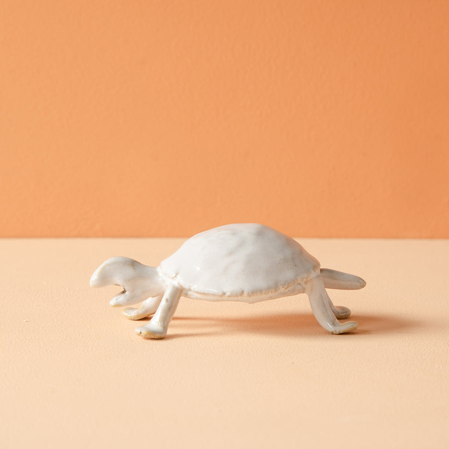 Bungart | Turtle Collection
