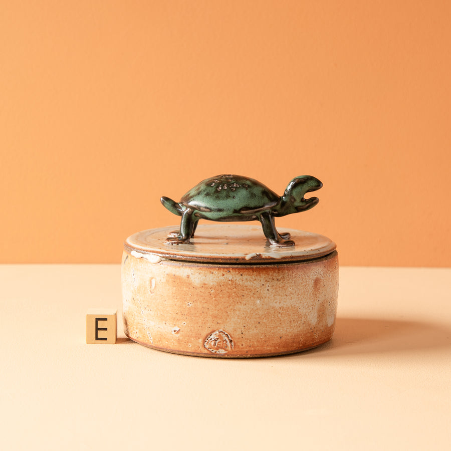 Bungart | Turtle Collection