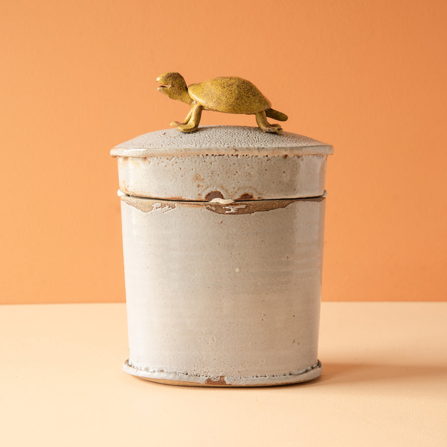 Bungart | Turtle Collection