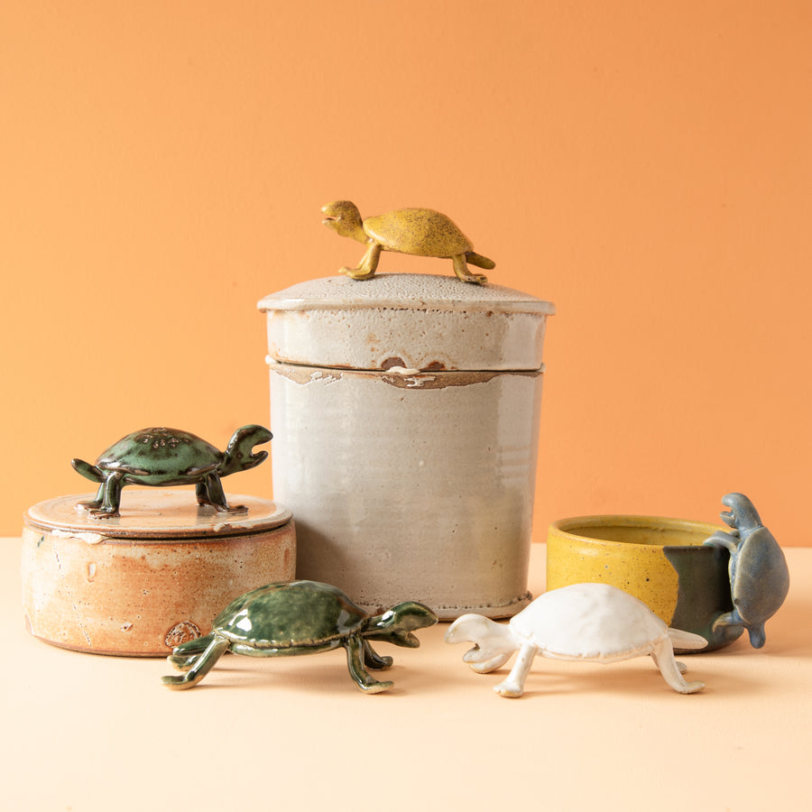 Bungart | Turtle Collection