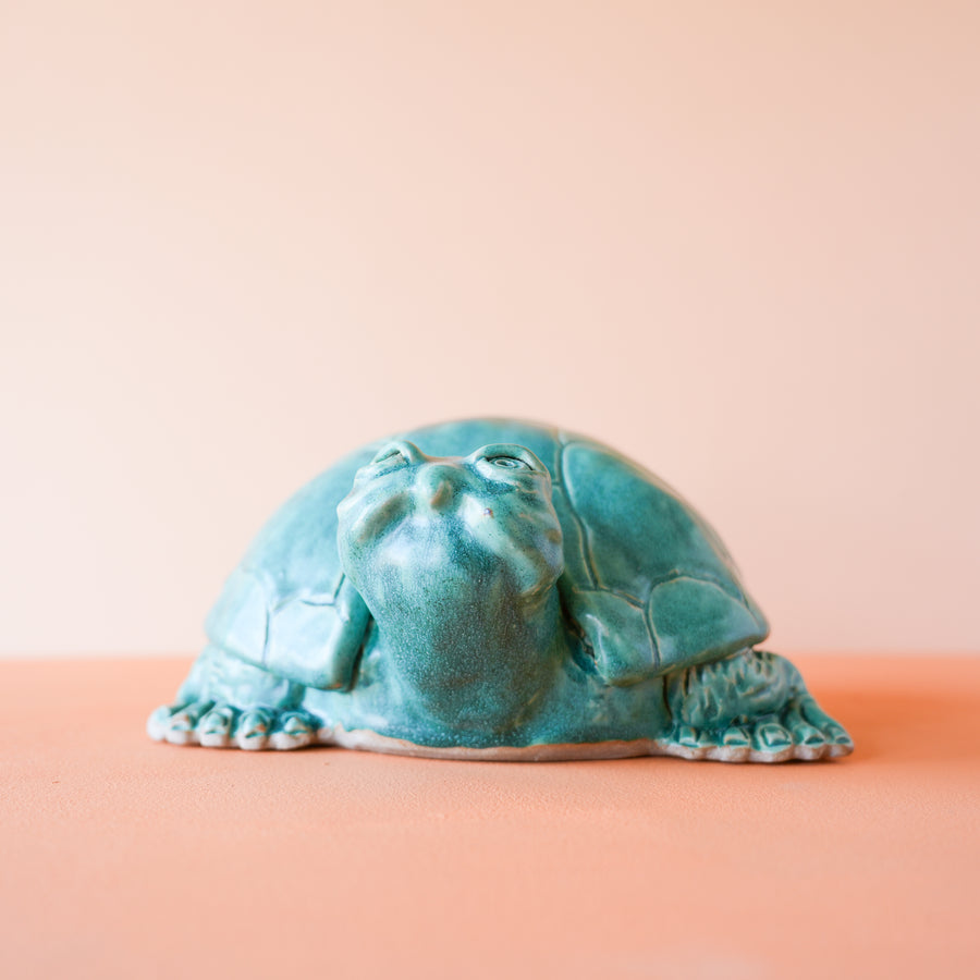 Timmons | Small Turtle – Pewabic Pottery