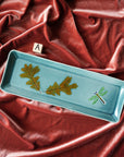 Robb | Plate Collection
