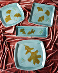 Robb | Plate Collection
