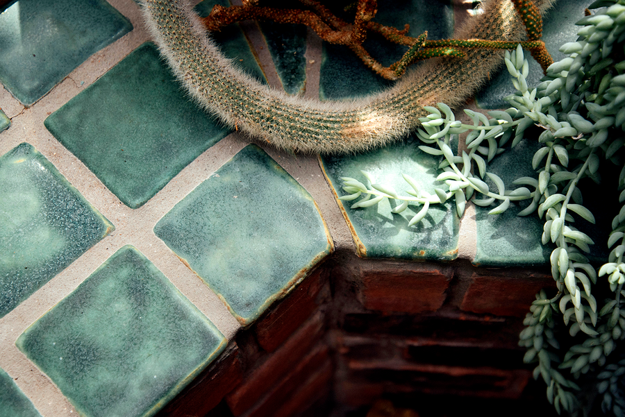 A detail of a historic tile windowsill in a residence - the green square tiles cascade over the edge of the sill where succulents and cacti sit in the sun..