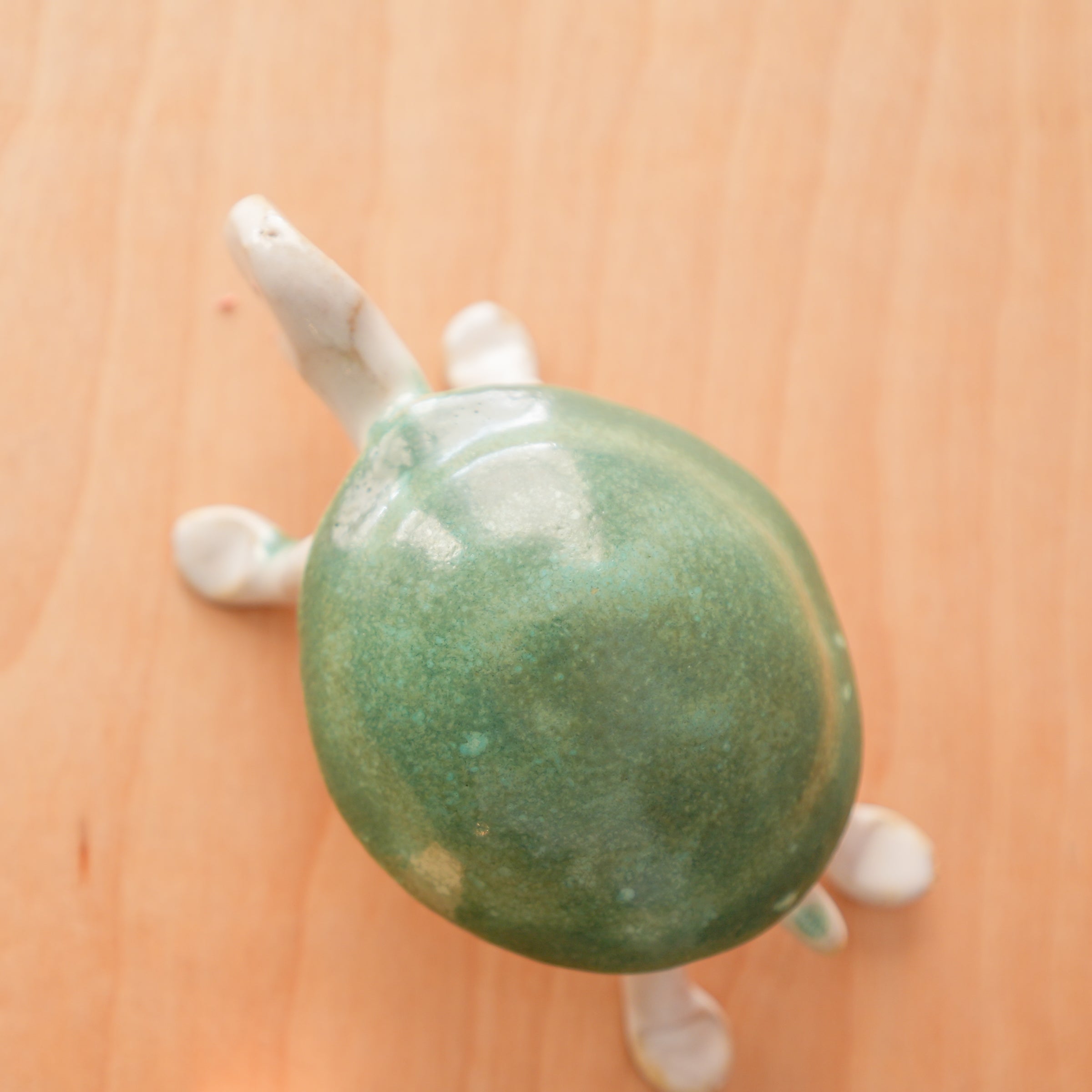 Bungart | Turtle + Rabbit Collection