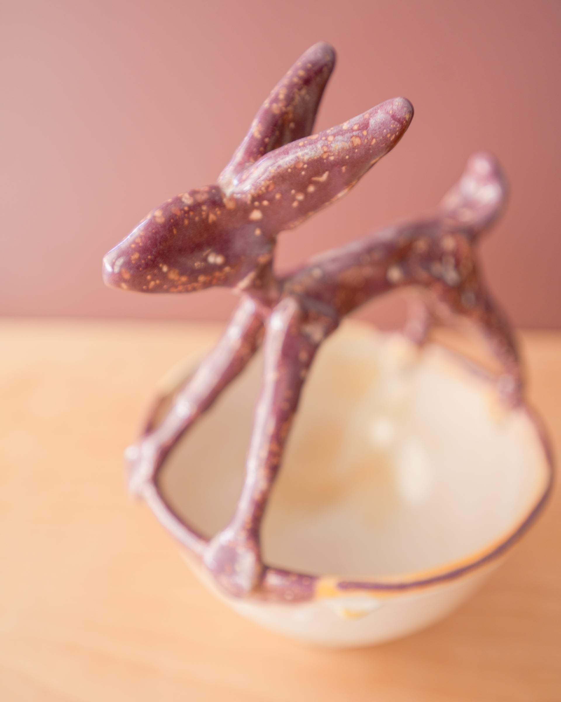 Bungart | Turtle + Rabbit Collection