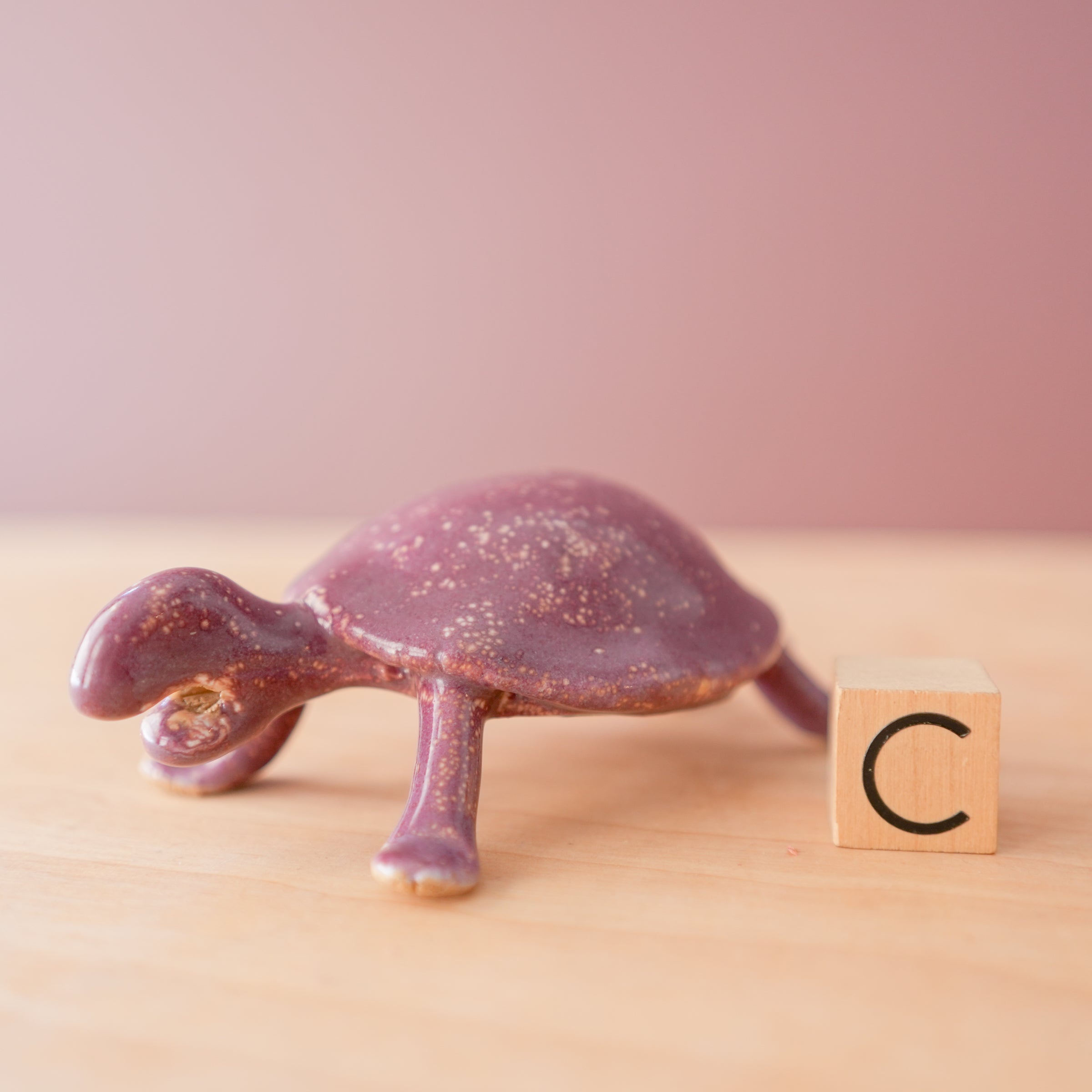 Bungart | Turtle + Rabbit Collection