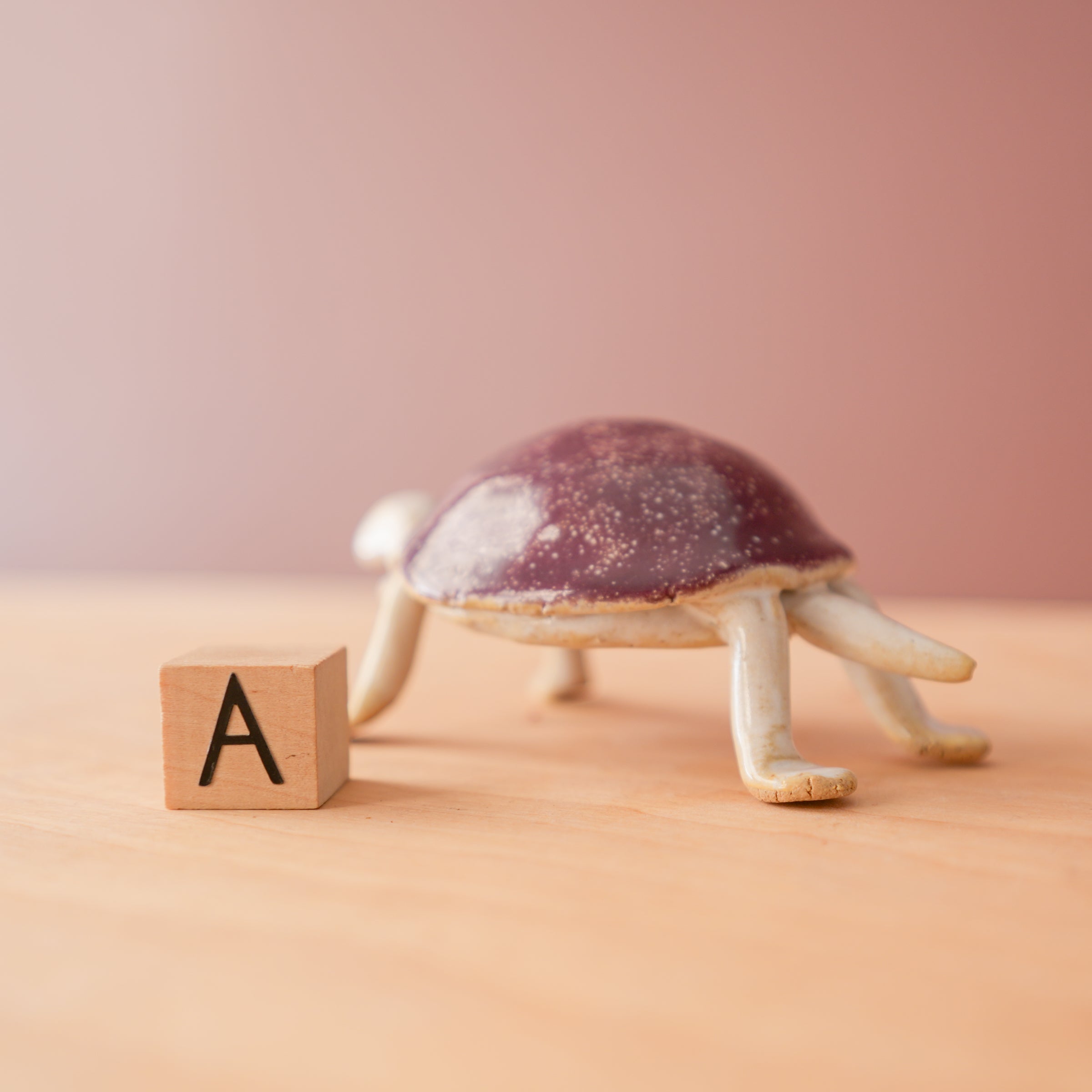 Bungart | Turtle + Rabbit Collection