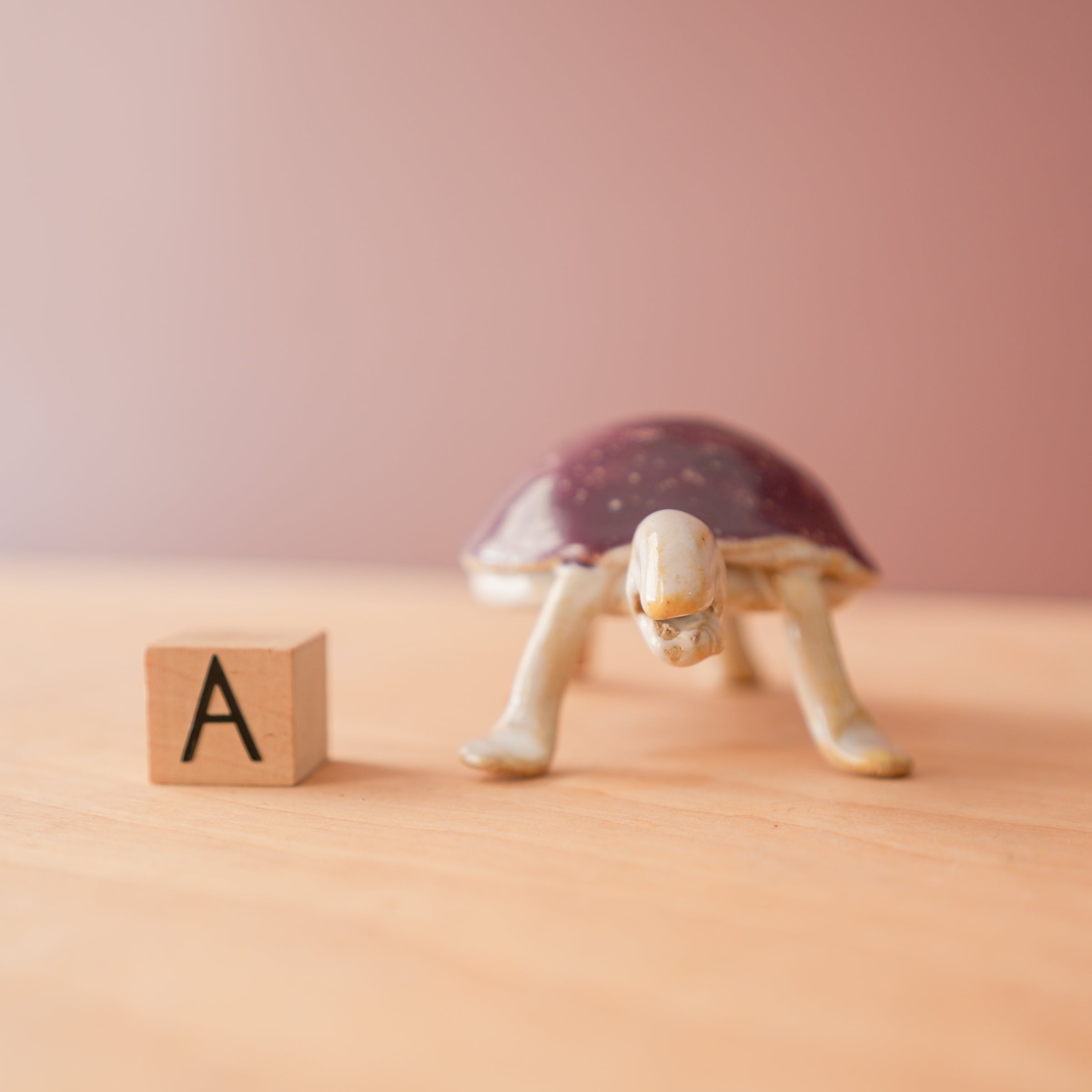 Bungart | Turtle + Rabbit Collection