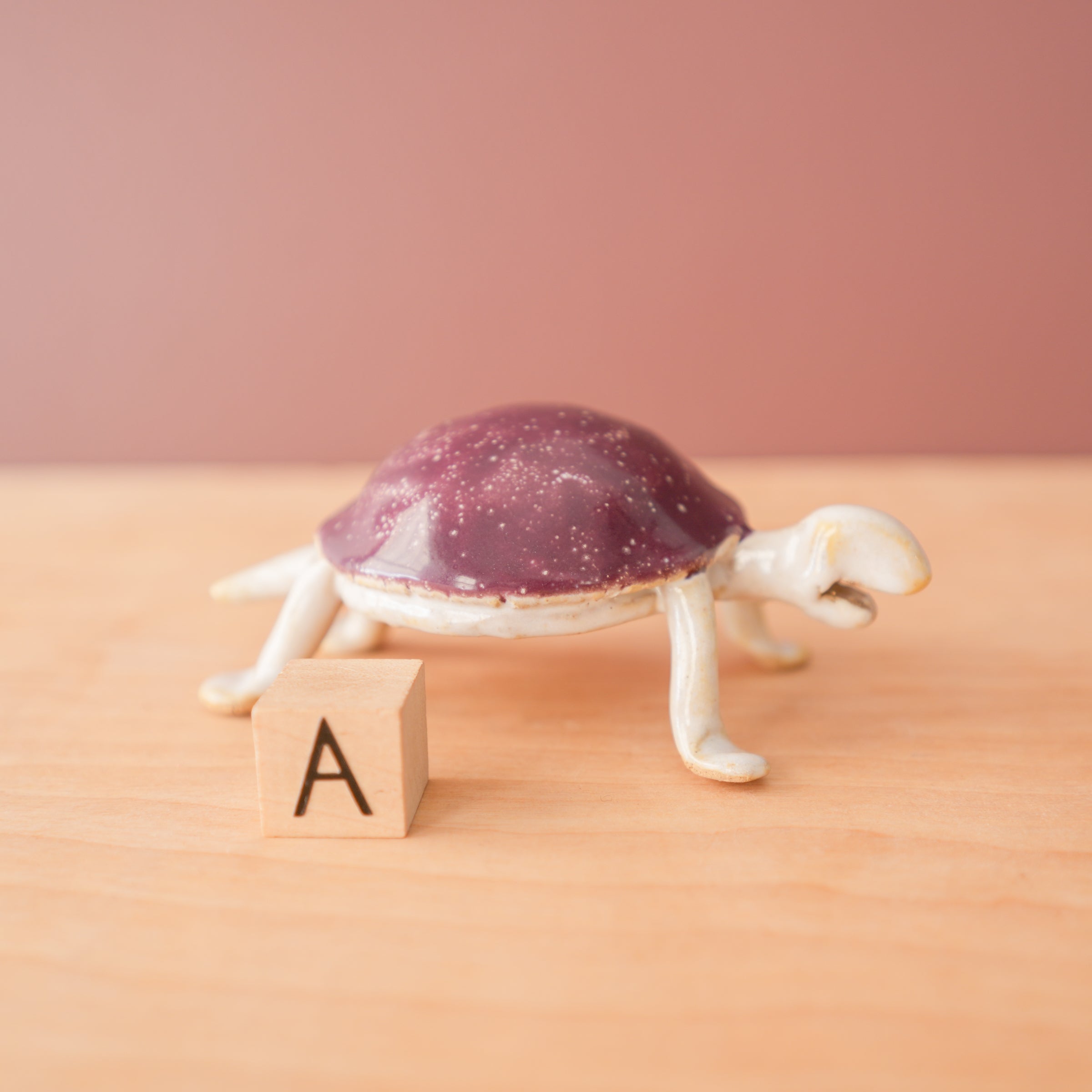 Bungart | Turtle + Rabbit Collection