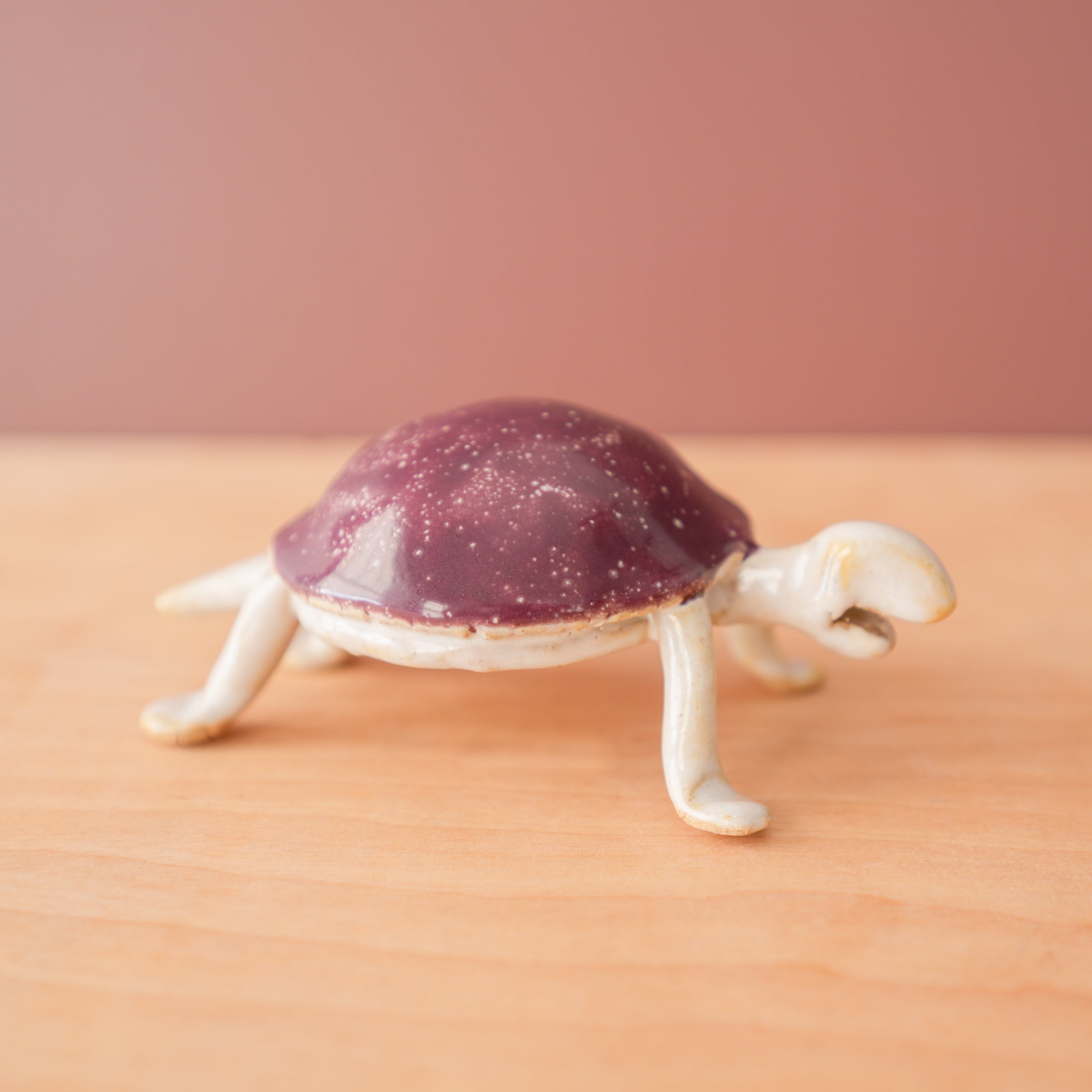 Bungart | Turtle + Rabbit Collection