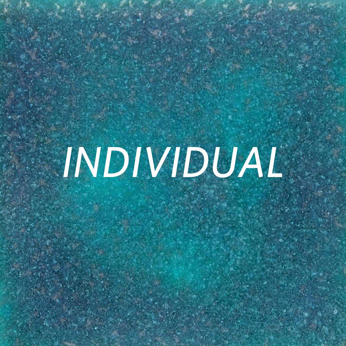 Individual Membership