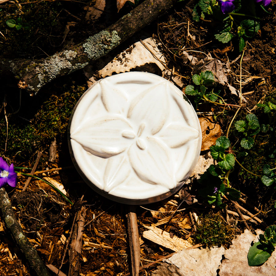 This tile features the satin finished white Alabaster glaze.