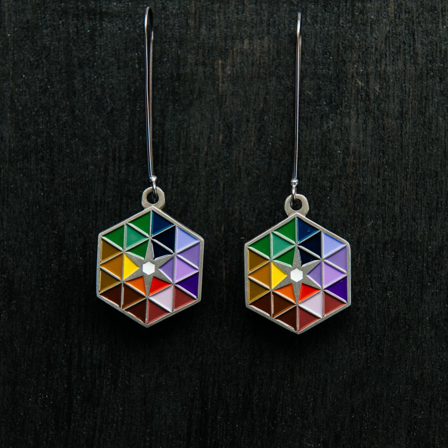 The Hex Earrings with a brushed silver hex featuring the bright colored triangles on silver loops.